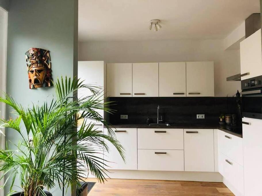 Compleet Huis In Nijmegenアパートメント エクステリア 写真
